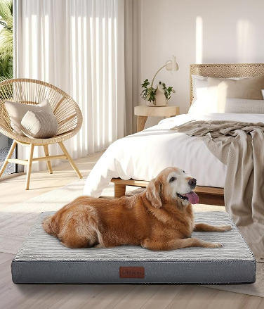 Cama ortopédica grande para perros